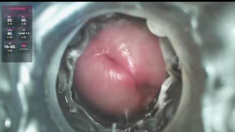 xoxowtf online show from December 1, 2024, 9:48 pm