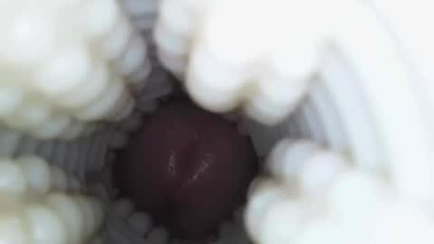 xoxowtf online show from January 9, 2026, 4:26 am