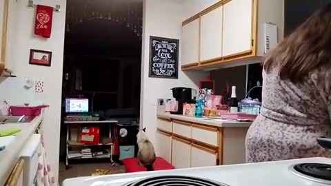 Snapshot of xxstrawberryjanexx chatting on February 3, 2026, 4:23 pm Strawberry Jane online show from February 3, 2026, 4:23 pm