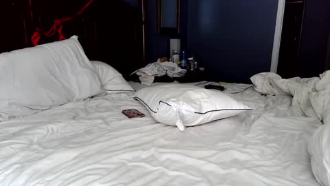 Snapshot of xxverabbyxx chatting on May 1, 2026, 1:59 pm Vera online show from May 1, 2026, 1:59 pm