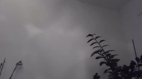 yakijoe online show from November 6, 2025, 10:43 pm