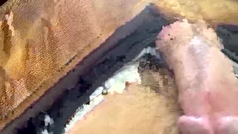 Snapshot of yamines chatting on January 29, 2025, 12:35 pm yamines online show from January 29, 2025, 12:35 pm