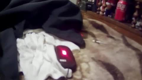 yangolox3 online show from March 2, 2026, 9:38 am