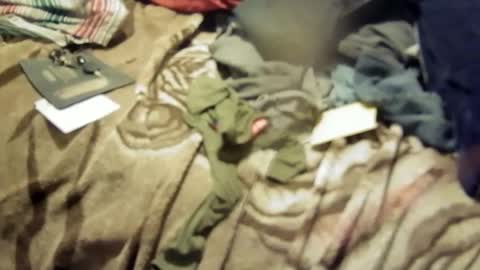 yangolox3 online show from March 17, 2026, 2:31 pm