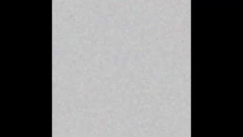 .     y e l l o w s n a k e s       . online show from November 20, 2025, 3:50 am