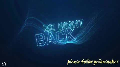 .     y e l l o w s n a k e s       . online show from February 7, 2026, 6:28 am