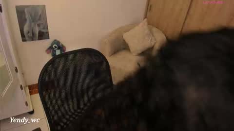 yendy_wc online show from February 6, 2026, 1:47 pm