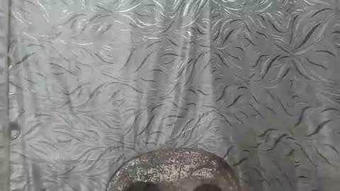 yhang_19 online show from December 15, 2024, 1:46 am