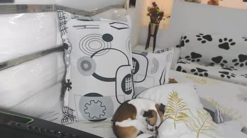 YINAROSS online show from March 27, 2026, 9:03 pm