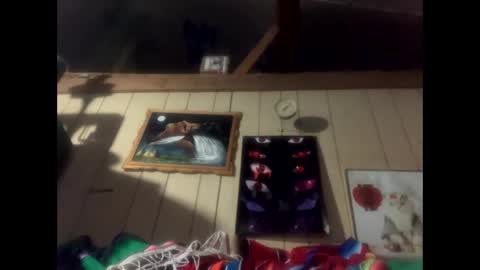 ymmotg online show from December 17, 2024, 8:56 am