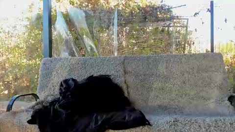 private on 18 per minute start private 500 tokensOnlyfans  online show from October 29, 2025, 9:11 am