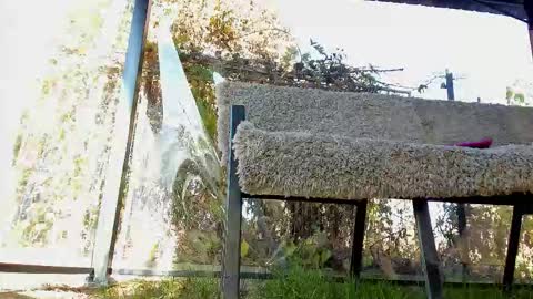 private on 18 per minute start private 500 tokensOnlyfans  online show from November 2, 2025, 11:56 am