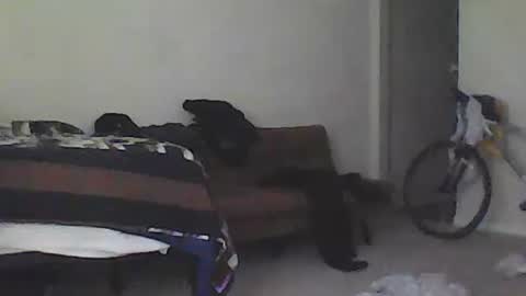 Snapshot of youneverknowimight2 chatting on February 15, 2025, 9:37 pm kindahorny online show from February 15, 2025, 9:37 pm