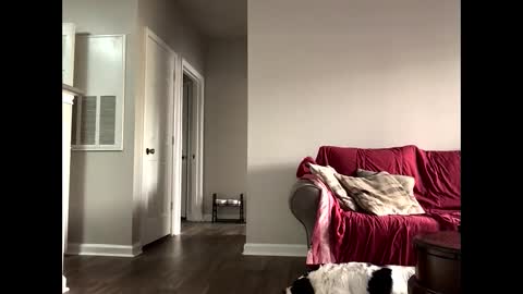 Snapshot of youneverknowimight2 chatting on October 14, 2025, 6:09 pm kindahorny online show from October 14, 2025, 6:09 pm