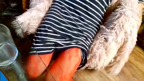 Taylor Tash online show from December 1, 2025, 4:39 am