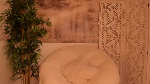 Sarah online show from January 28, 2025, 11:28 pm