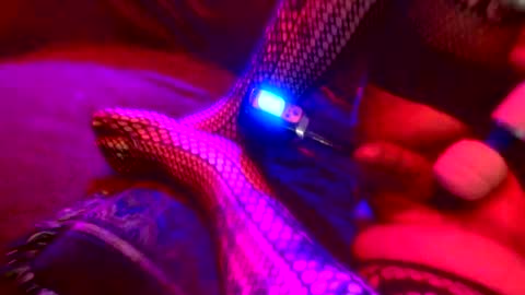 Z0RL0C online show from October 4, 2025, 5:38 am