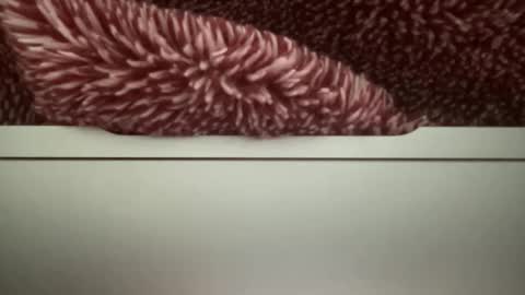 Snapshot of z95141 chatting on October 22, 2025, 3:56 pm z95141 online show from October 22, 2025, 3:56 pm