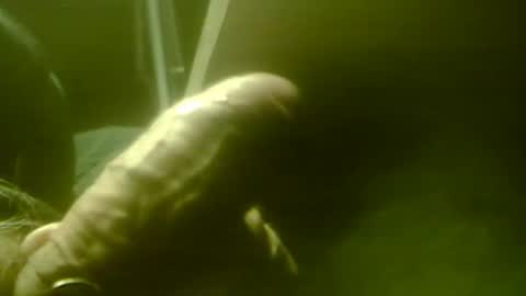 zaboski4 online show from December 1, 2025, 8:52 am