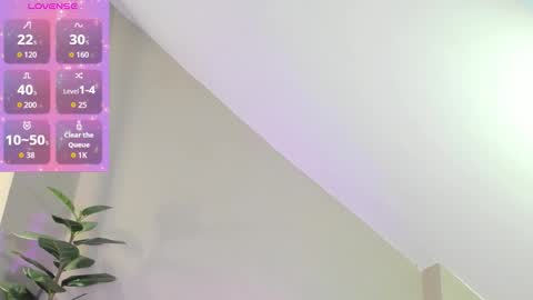 Zary online show from November 28, 2025, 11:24 am