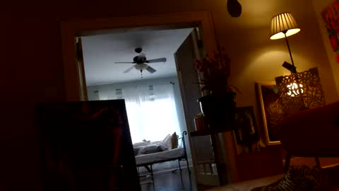 zedlav4 online show from November 28, 2025, 9:50 pm