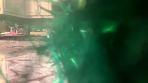 zerokool377 online show from December 18, 2024, 10:40 am