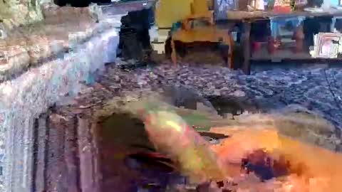 Zerr online show from November 1, 2025, 9:00 am