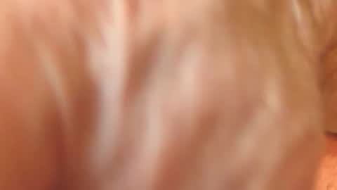 zevioo77 online show from November 18, 2025, 11:58 am