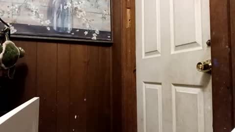 Snapshot of zfdcuvxqqtzh chatting on November 10, 2025, 3:27 am zfdcuvxqqtzh online show from November 10, 2025, 3:27 am