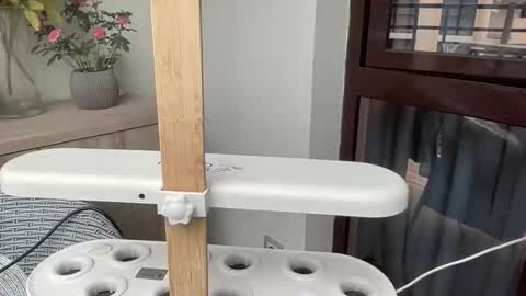 Nensi online show from April 6, 2026, 2:40 pm