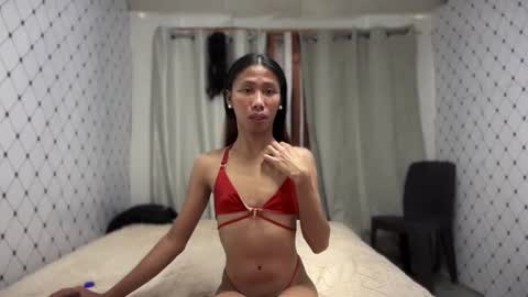 Zinnia nics online show from November 8, 2025, 6:57 am