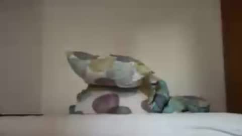 Snapshot of zkopa1234 chatting on June 18, 2026, 1:48 pm zkopa1234 online show from June 18, 2026, 1:48 pm