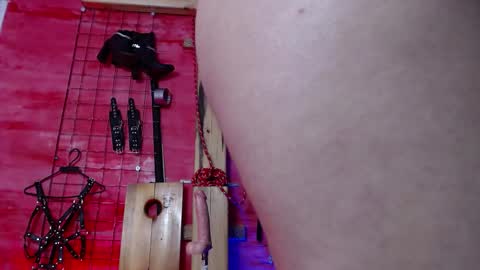 zoe_ferrer7 online show from April 16, 2026, 9:04 pm