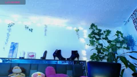 zoemi online show from January 19, 2025, 3:18 am