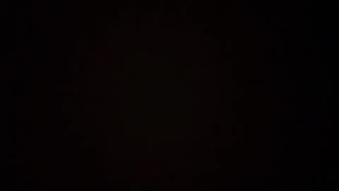 zoozdxb online show from January 17, 2026, 7:50 pm