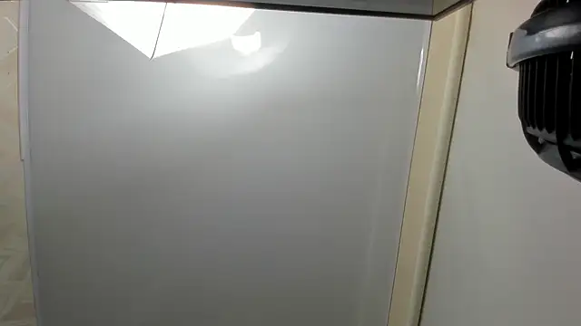 Snapshot of veronica_salas chatting on March 16, 2025, 12:11 pm veronica salas online show from March 16, 2025, 12:11 pm