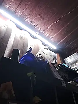 rajstrip12650 online show from December 18, 2025, 9:26 am