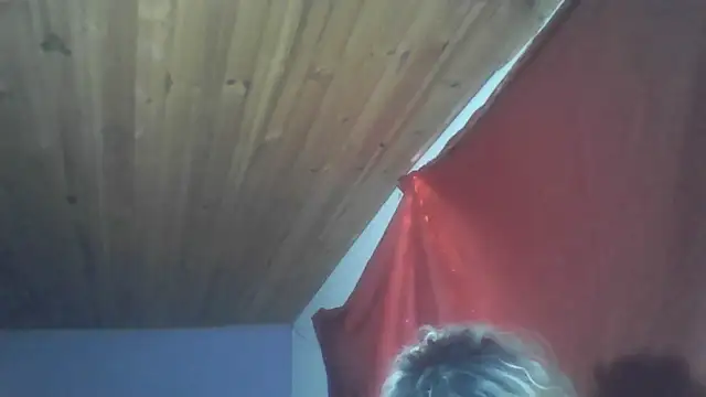 roxana collins online show from October 31, 2025, 4:35 am