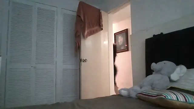 panquesitorico online show from April 13, 2026, 12:49 am