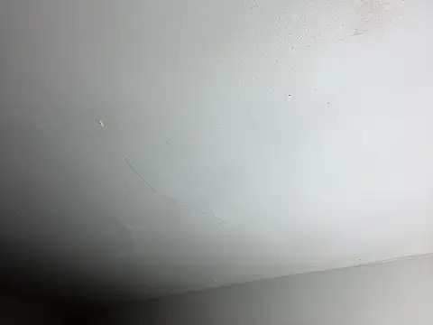 leanjamesdean online show from March 15, 2026, 4:29 am