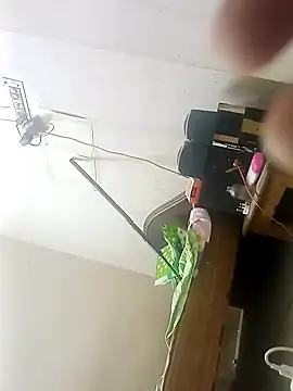 Rupok dulavai online show from October 26, 2025, 5:24 am