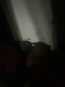 punhetaba online show from February 24, 2026, 3:48 am