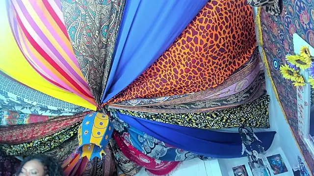 Snapshot of ElizaGrey_ chatting on January 19, 2025, 10:17 am ElizaGrey  online show from January 19, 2025, 10:17 am