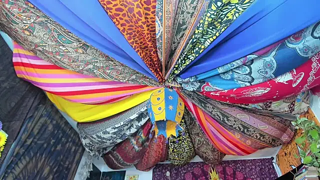 Snapshot of ElizaGrey_ chatting on February 23, 2025, 3:40 pm ElizaGrey  online show from February 23, 2025, 3:40 pm