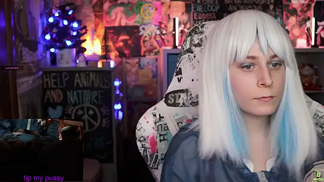 ShiroiFubuki online show from January 25, 2025, 2:36 pm