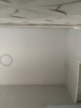 Lia flowers online show from February 9, 2025, 10:43 pm