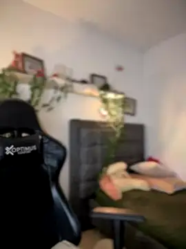 Lia flowers online show from September 14, 2025, 12:54 am