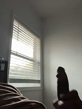 Snapshot of cumwithus1903 chatting on December 9, 2024, 3:11 pm cumwithus1903 online show from December 9, 2024, 3:11 pm