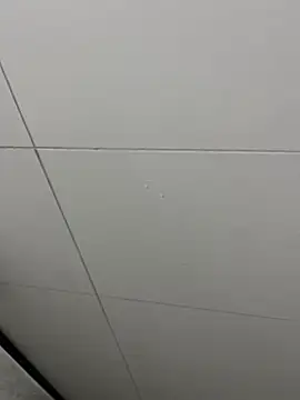 Snapshot of Tintola chatting on February 23, 2026, 12:30 am Tintola online show from February 23, 2026, 12:30 am