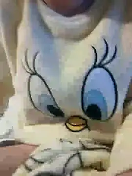 bruna safadinhaa online show from December 30, 2024, 8:04 pm